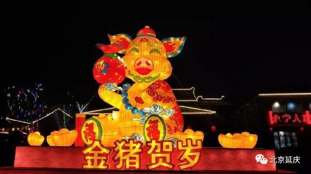 北京元宵佳节灯会（皇家范庙会科技灯光秀）(18)
