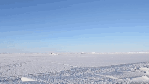南极和北极比哪个最冷（南极和北极到底哪个更冷一些）(6)