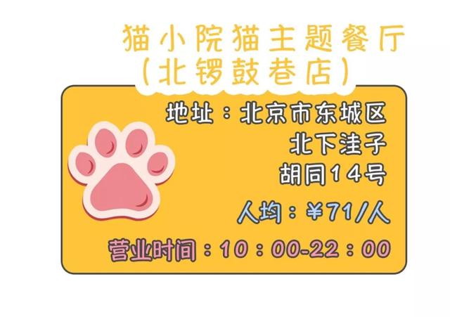 上海猫咖店试养猫（天团暗访地下吸猫场所）(21)