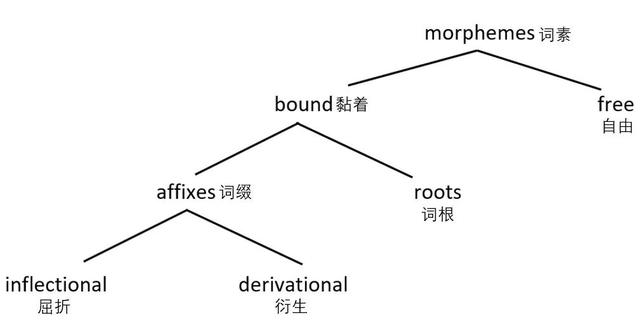中文词汇的构词方法英文版（英美外刊原著研习社）