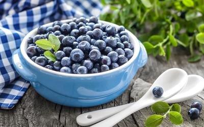蓝莓有哪些好处（蓝莓的好处你知道吗）(3)