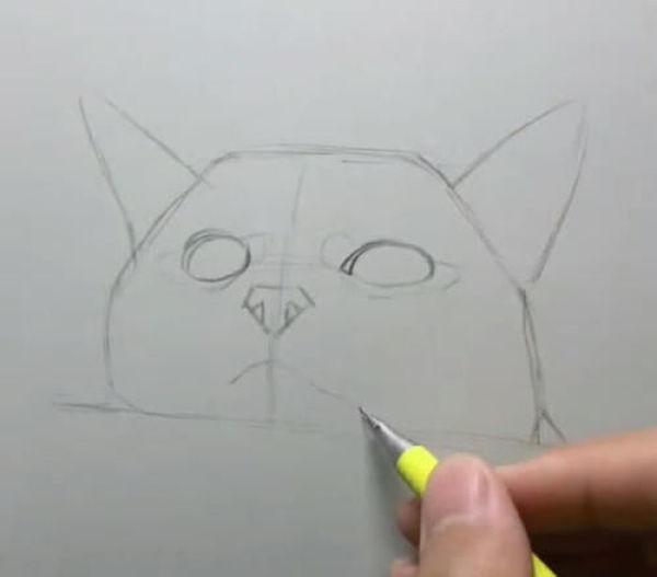 用铅笔画橘猫的教程（美术生教你画猫咪）(1)