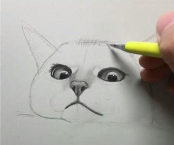 用铅笔画橘猫的教程（美术生教你画猫咪）