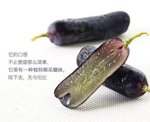 蓝宝石葡萄品种鉴别（别被吹爆的网红品种迷了双眼）(2)