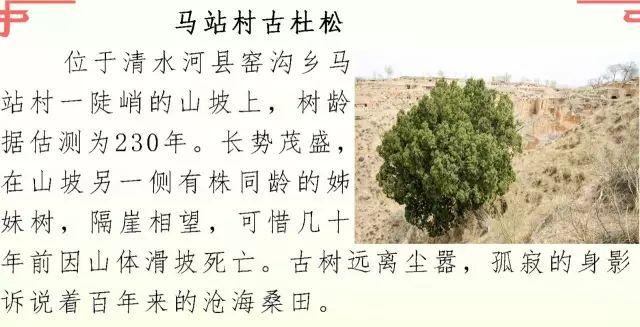 长沙林业发展前景（清水河县林业发展历程和变迁）(24)