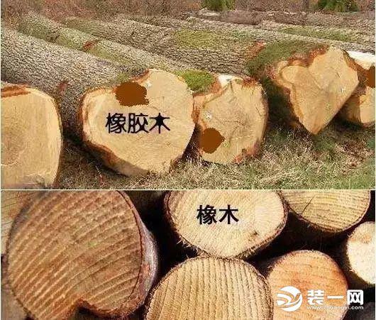 橡木和橡胶木怎么分辨（橡木和橡胶木是一样的吗）(2)