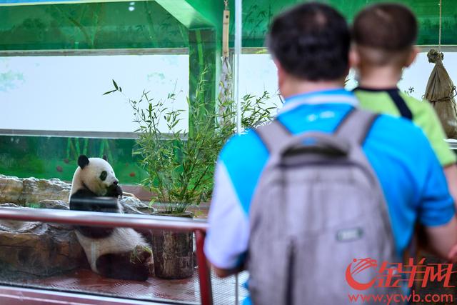 广州动物园现在正常开放吗（广州动物园部分室内场馆有序开放）(1)