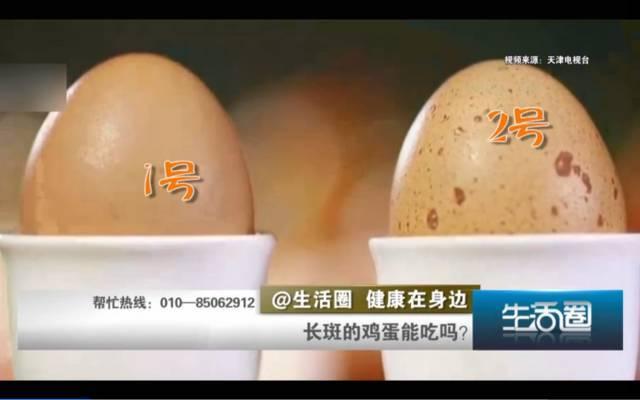 鸡蛋上为什么长斑（好好的鸡蛋为什么会）(4)