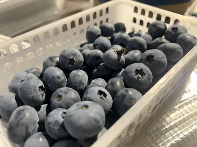 冷冻蓝莓和蓝莓的区别（蓝莓是水果界多么厉害的存在）(4)