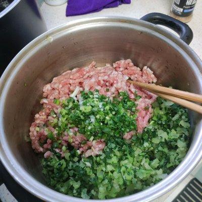 芹菜白菜水饺的做法（吃一次想十次的下饭菜芹菜猪肉水饺）(4)