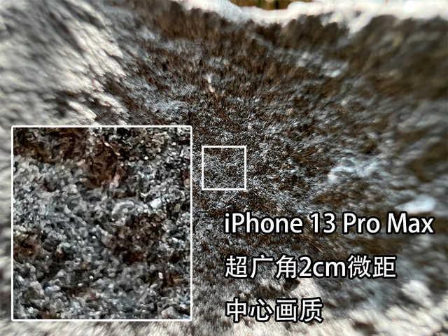 iphone 13和11promax拍照对比（苹果iPhone13ProMax拍照评测）(16)