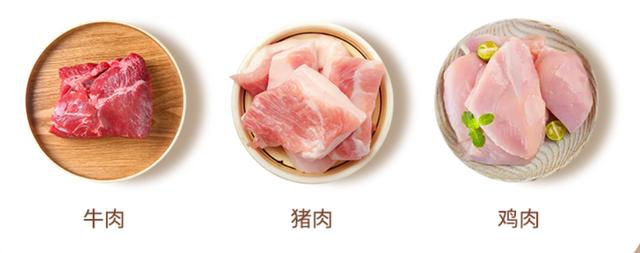 饺子馅绞肉机版（饺子好吃懒得剁饺馅）(43)