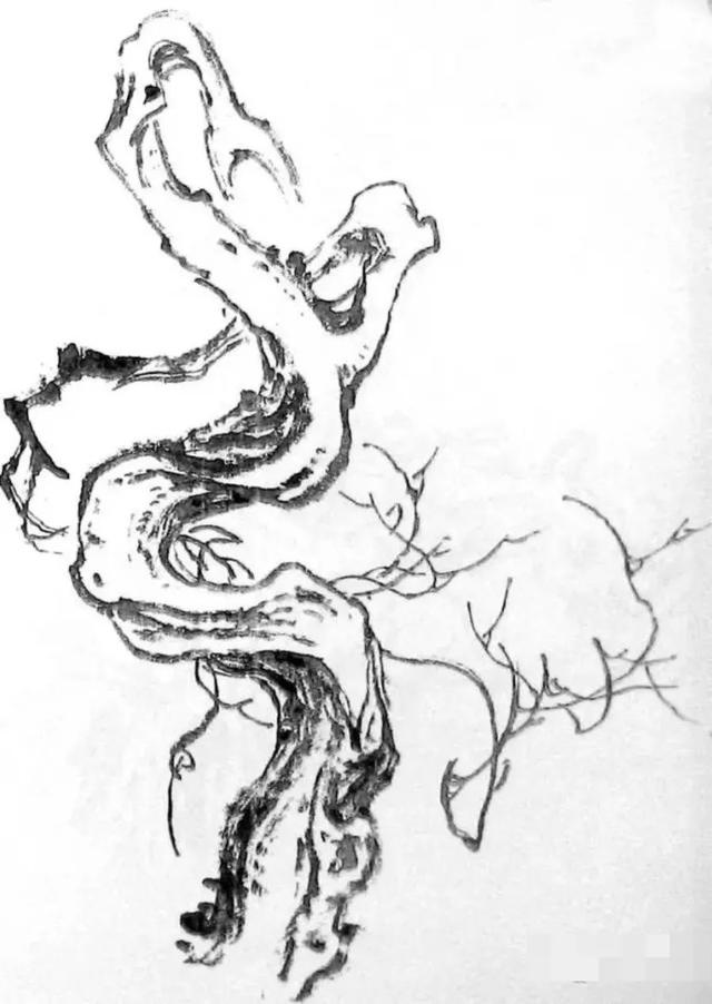 怎么画个美丽也简单的树（如何画一棵生动的树）(5)