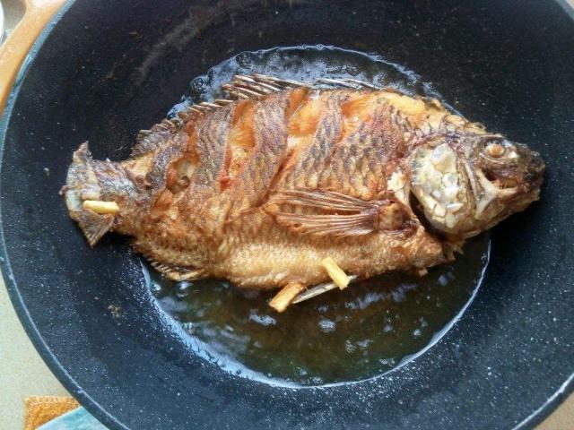 怎样做红烧鱼既不脱皮又好吃（红烧鱼的正确做法）(4)