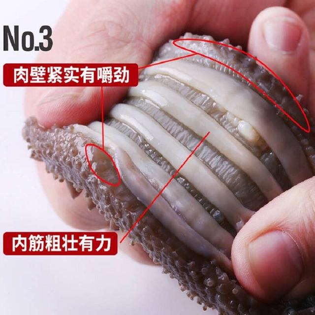 海参的八种家常做法（一天中什么时候吃海参最好）(3)