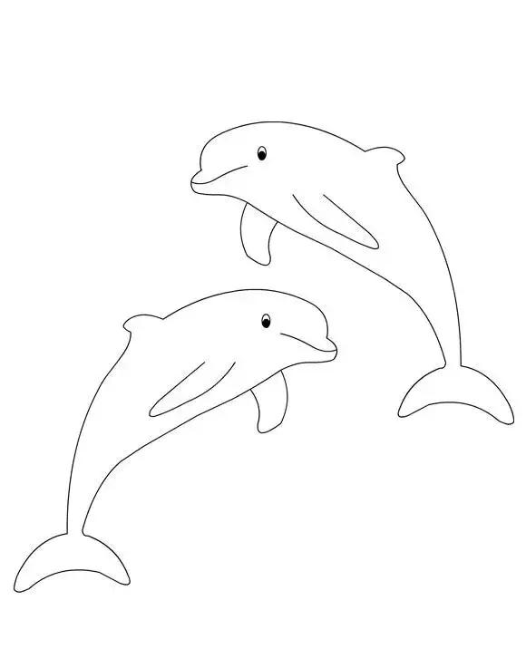 绘画海豚的画法（难得一见的海豚白描线稿）(5)