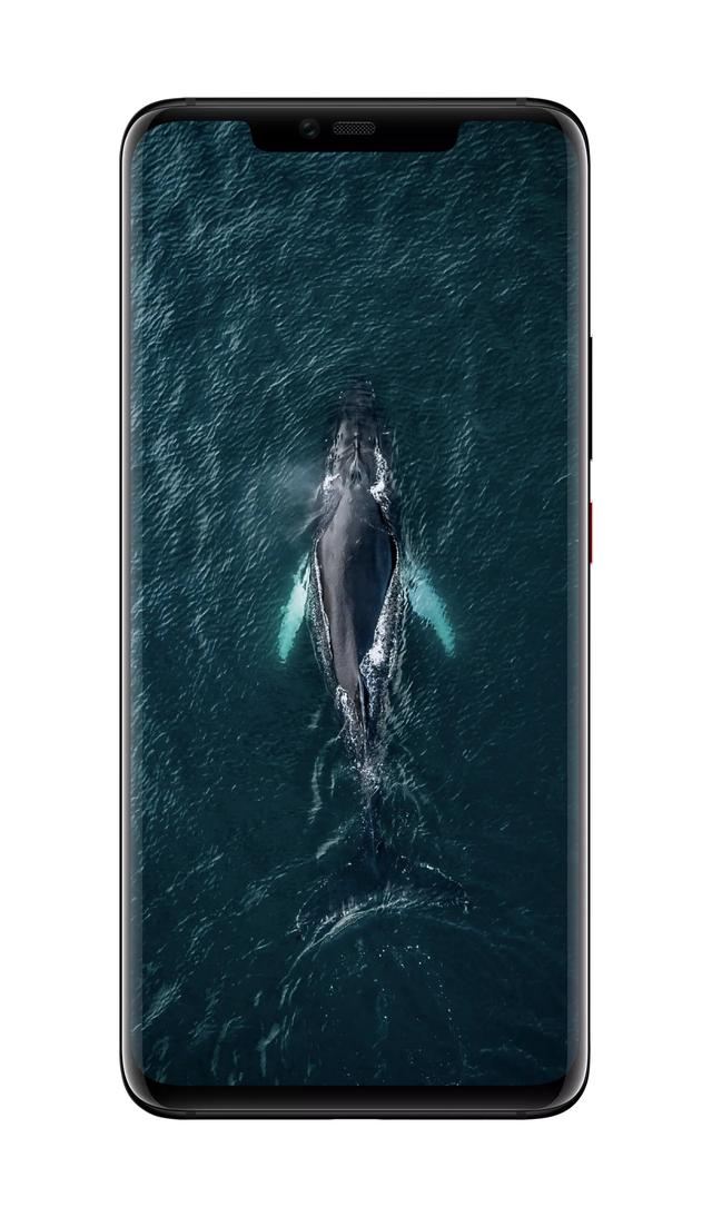 超高清的海洋手机壁纸（大海无量碧波荡漾）(2)