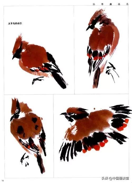 100幅钢笔鸟的画法内附绘画步骤（寥寥几笔就能画出一个活灵活现的鸟儿）(28)
