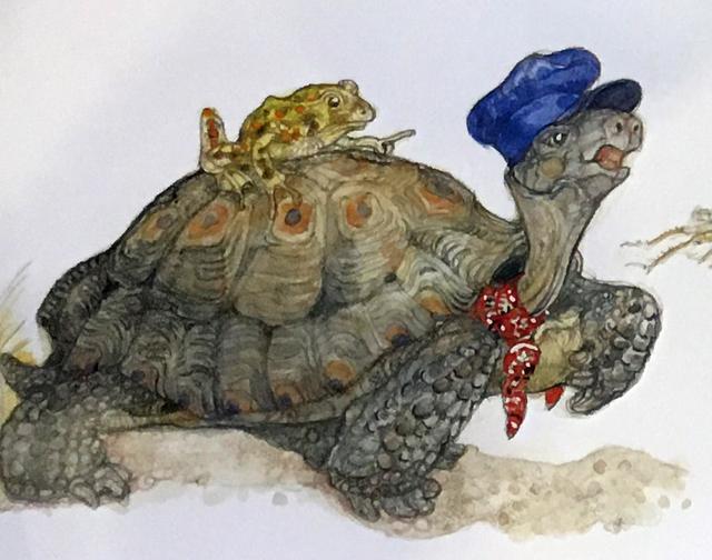 一幅龟兔赛跑寓言故事的画怎么画（龟兔赛跑的故事）(6)