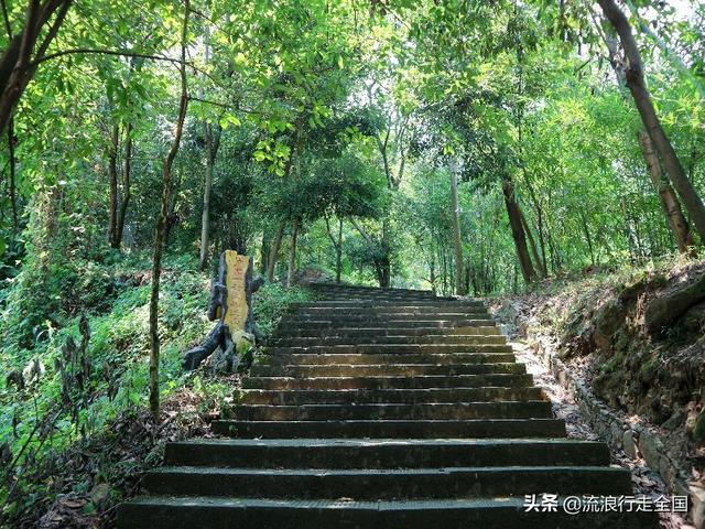 重庆歌乐山红色景点游览路线（你会选择去爬山吗）(28)