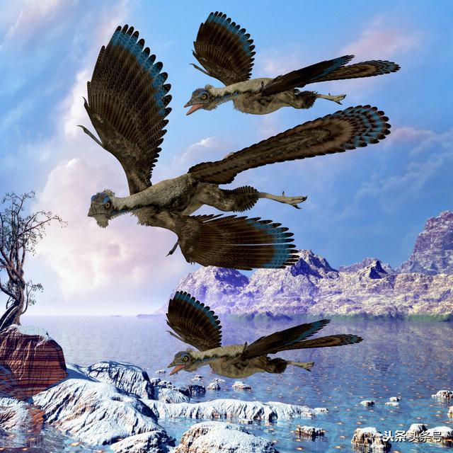 恐龙演化成鸟类的条件（生物进化的风风雨雨）(2)