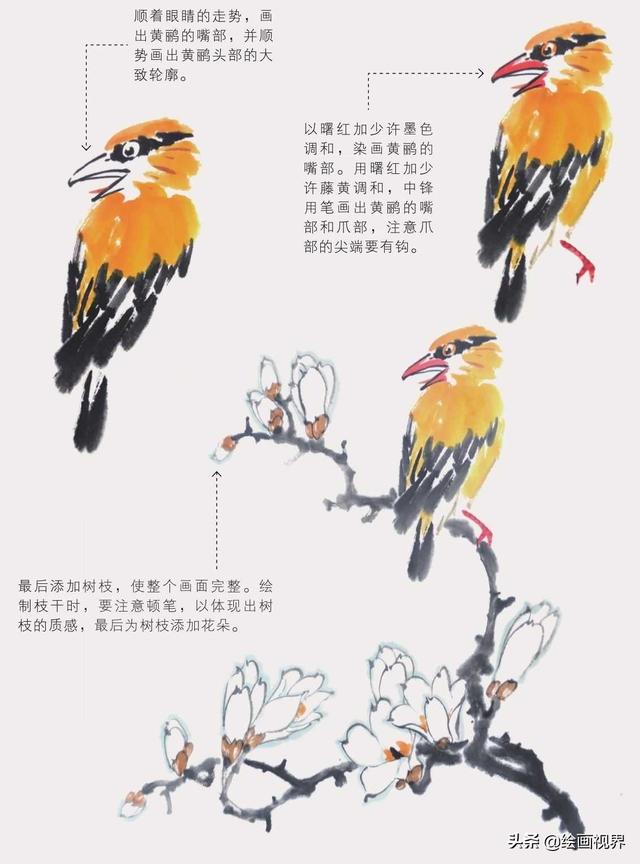 图文教程写意禽鸟的基本画法（三种常见禽鸟画法步骤图解）(17)