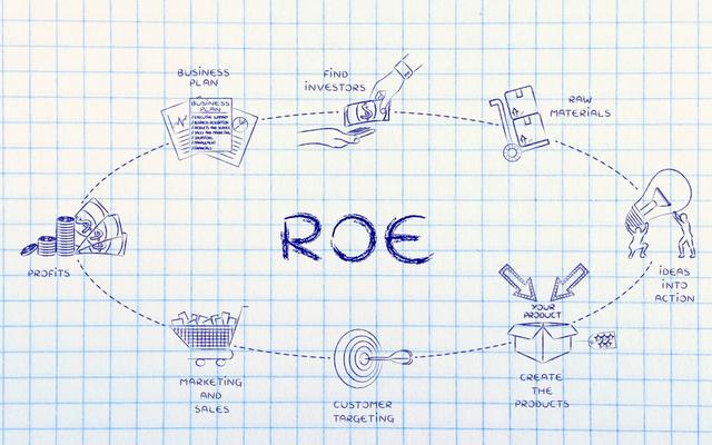 roe的正确解读（ROE的背后还有很多弯弯绕）(5)