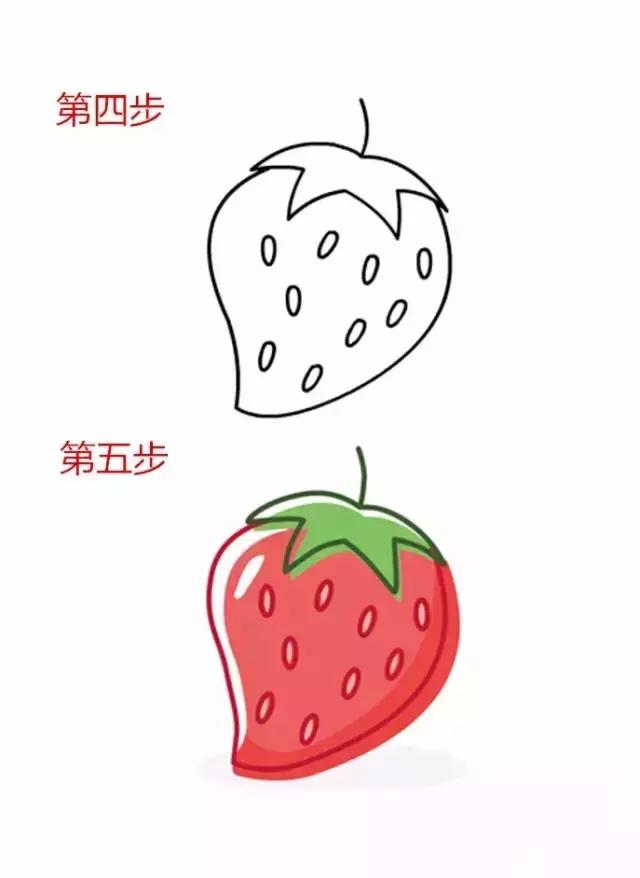 水果简笔画大全步骤图简单（16种水果简笔画大全）(37)