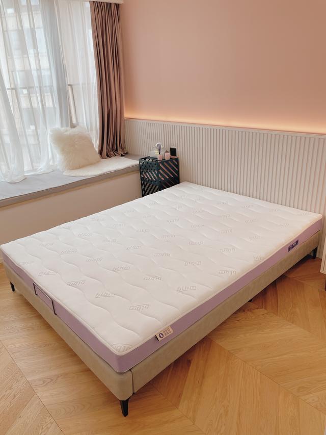 脏脏粉色卧室背景墙的效果图（这是我家最美的卧室）(5)