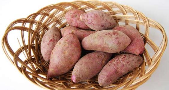 红薯的栽种时间是几月份（红薯适合几月份栽种）