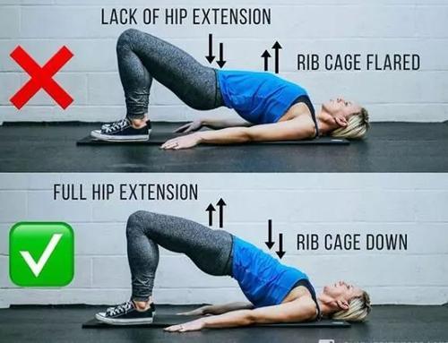 怎么训练单侧臀中肌（掌握臀桥的正确做法）(4)