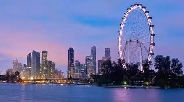 新加坡签证办理流程与注意事项（新加坡签证办理攻略简易版来了）(7)