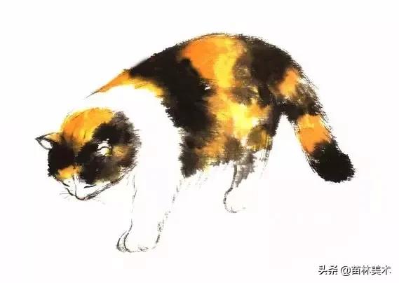 猫的各种姿态画法（猫的基本画法与步骤）(26)