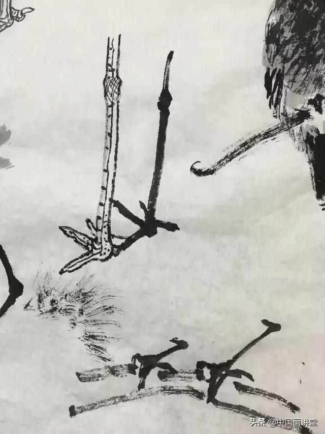 100幅钢笔鸟的画法内附绘画步骤（寥寥几笔就能画出一个活灵活现的鸟儿）(23)