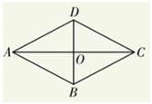 初二数学平行四边形判定定理（初中数学特殊平行四边形）(4)