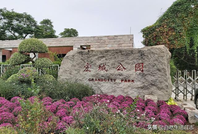 广州3月赏花好去处，探访秋日中的广州公园(41)