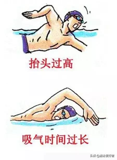 自由泳入门技巧及要领（自由泳初学阶段和熟练阶段的划水路线）(9)