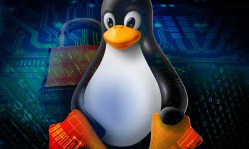 linux操作系统简介（您需要了解的有关开源操作系统的所有内容）(1)