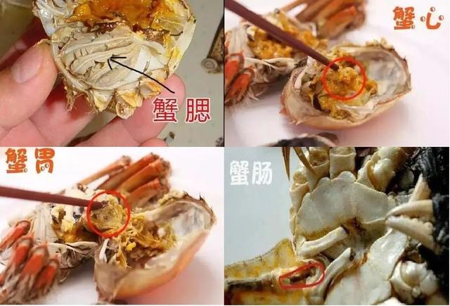 不小心吃到死蟹（网红餐厅被曝死蟹当活蟹卖）(4)