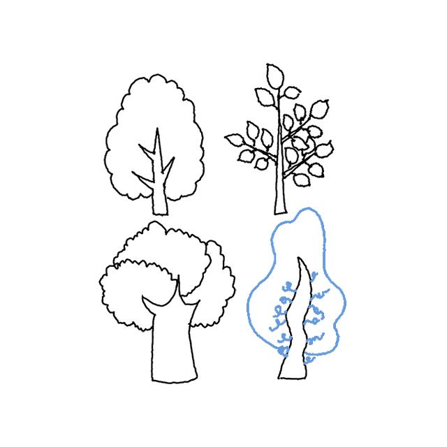 如何画树木简笔画（如何画树木简笔画）(9)