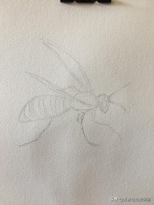 蜜蜂复杂画法（手绘一只非常有立体感的小黄蜂）