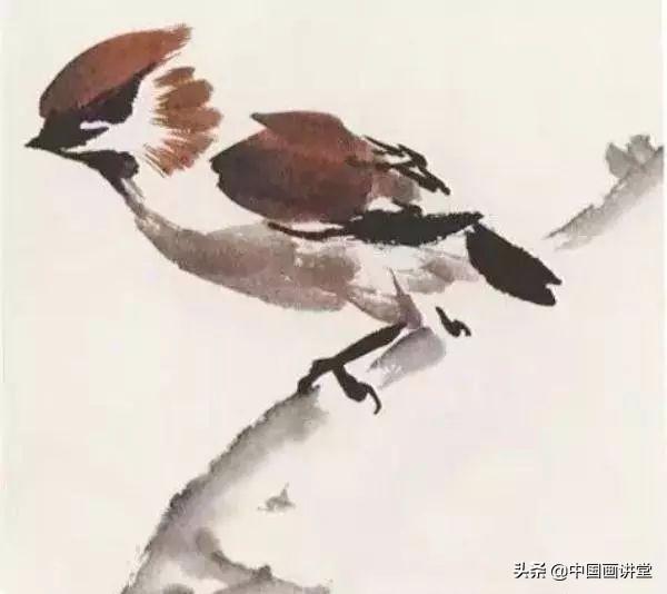 100幅钢笔鸟的画法内附绘画步骤（寥寥几笔就能画出一个活灵活现的鸟儿）(5)