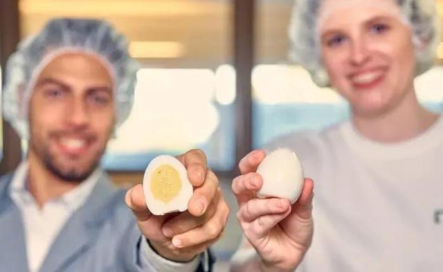 假鸡蛋是什么意思（假鸡蛋这次是真的了）