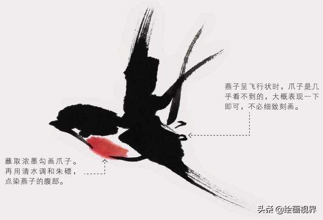 图文教程写意禽鸟的基本画法（三种常见禽鸟画法步骤图解）(11)