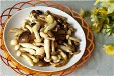 清炒双孢菇的家常做法（炒蘑菇的做法）(1)