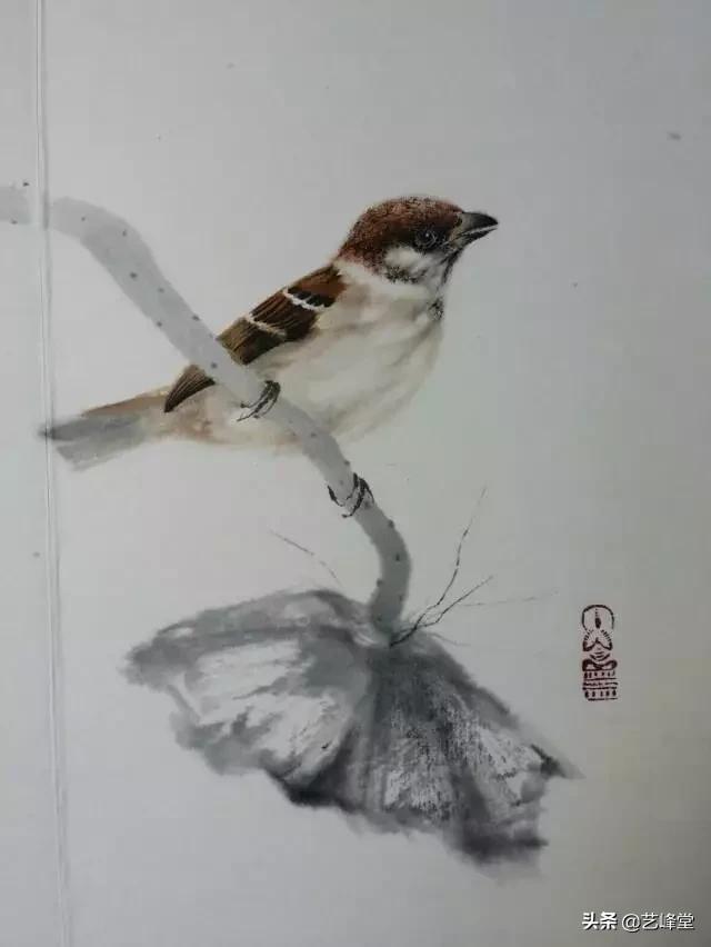 工笔画虫鸟画（50幅活灵活现的工笔小麻雀）(14)