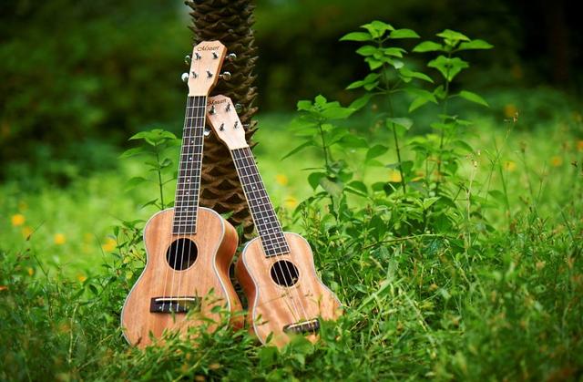 最美的期待ukulele（Ukulele我所热爱的事物）