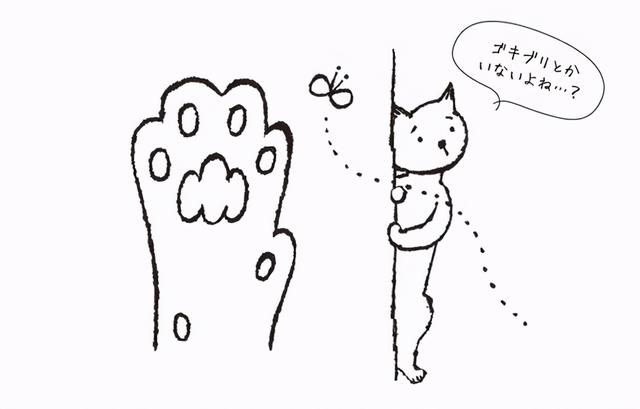 猫咪的爪型判断（猫咪的性格如何）(2)