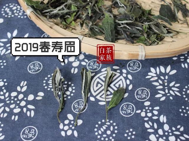 白茶春寿眉和白牡丹的区别（白茶里三大品类）(5)