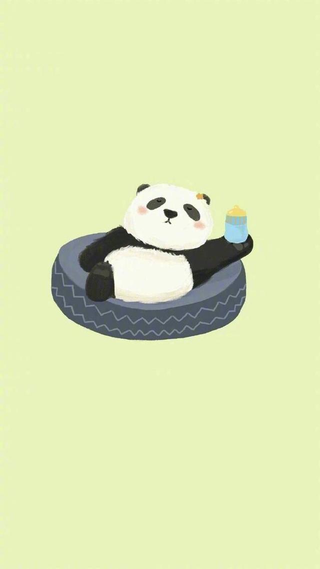 熊猫壁纸可爱又漂亮（可爱型熊猫壁纸）(111)
